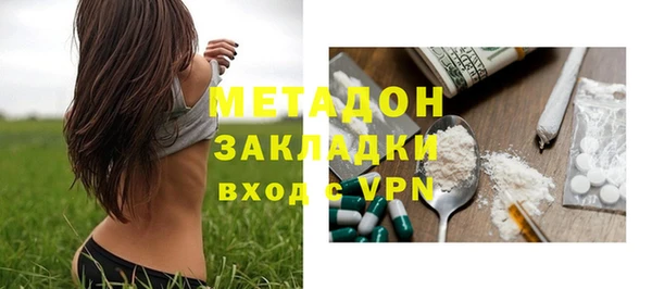 гидра Горняк