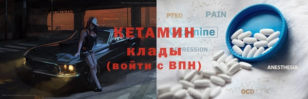 гидра Горняк