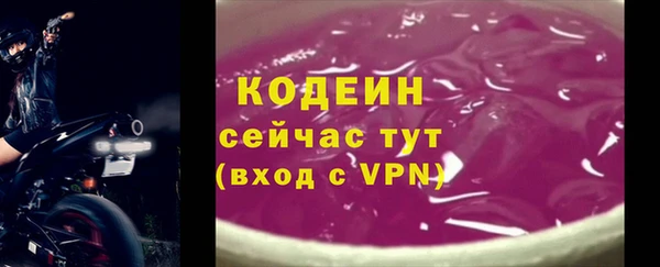 гидра Горняк