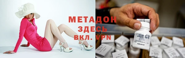 гидра Горняк